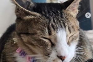 Viper社媒自宣：我将离开HLE转战其他战队 期待未来能再次和大家见面