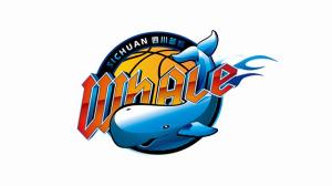 媒体人：全运会过后 四川女篮投资人大概率放弃接手四川男篮