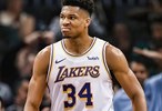 东契奇推动湖人交易字母哥，詹姆斯或否决